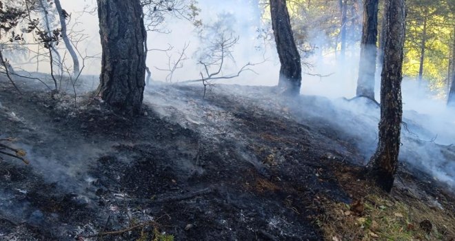 Bolu'da örtü yangını: 1 hektar zarar gördü......