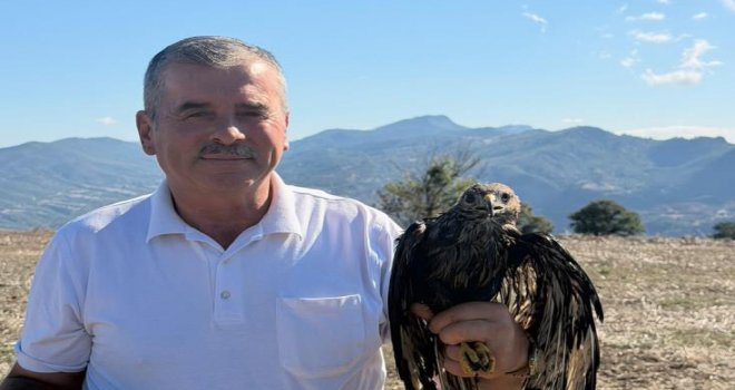 Bolu'da sıcak asfalta yapışan şahin, muhtarın müdahalesiyle kurtarıldı