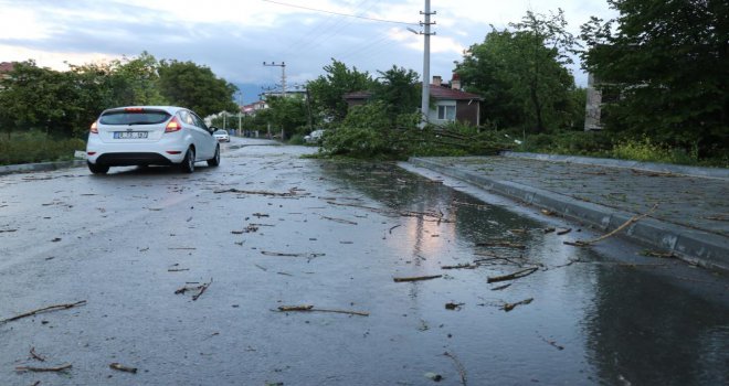 Bolu’da şiddetli fırtına ağaçları devirdi....