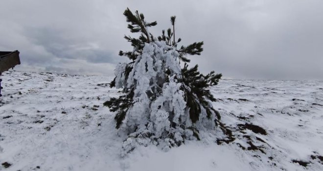 Bolu'da soğuk hava ağaçları dondurdu….......