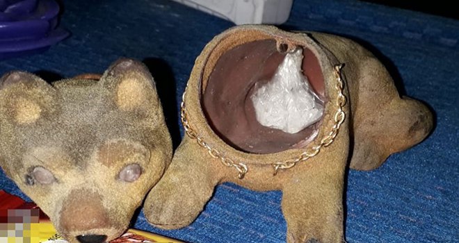 Bolu’da uyuşturucu operasyonu: 1 tutuklama