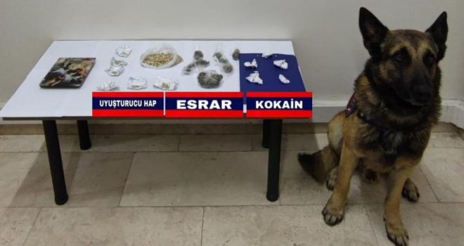 Bolu'da uyuşturucu operasyonu……