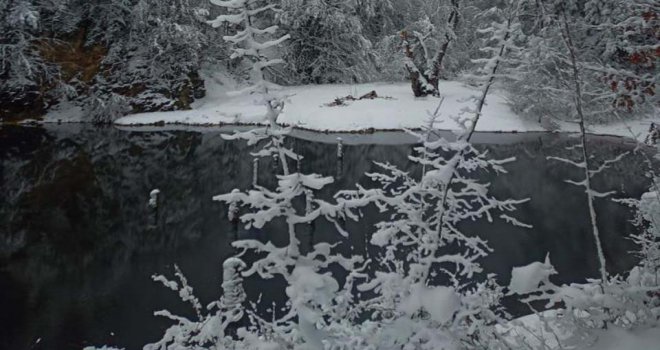 Bolu’da, yürüyüş yapan iki kişinin üzerine ağaç parçası düştü: 1 ölü 1 yaralı