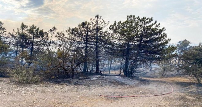 Bolu’daki 2 orman yangınından biri kontrol altına alındı