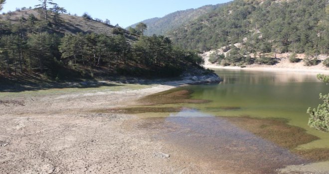 Bolu'daki en büyük orman yangınında tarihi rol oynamıştı: Kuraklık orayı da vurdu