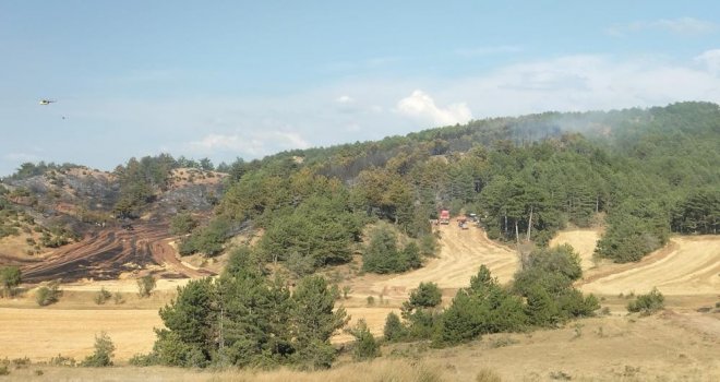 Bolu’daki orman yangını kontrol altına alındı........
