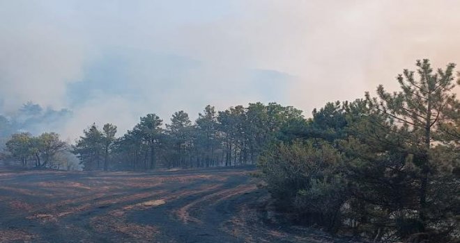 Bolu'daki orman yangını kontrol altına alındı