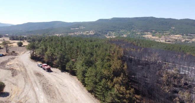 Bolu’daki orman yangını tamamen kontrol altına alındı........