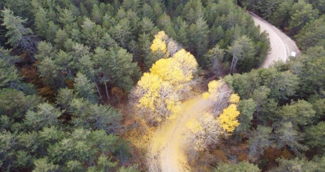 Bolu'nun dağlarında kış öncesi sonbahar güzelliği……