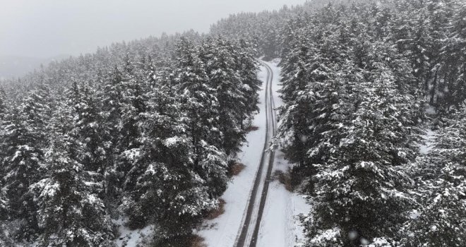Bolu'nun yüksek kesimlerinde lapa lapa kar: Yaylalar ve Kartalkaya beyaza büründü