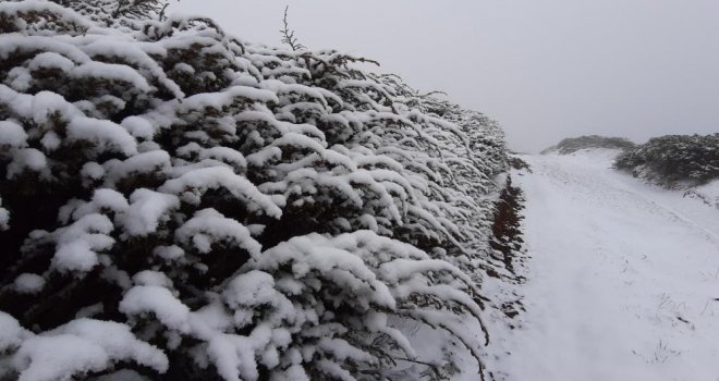Bolu'nun yükseklerinde kar kalınlığı 5 santimetreye ulaştı...