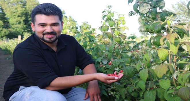 Bu tarlada istediğin kadar yiyip, topladığın kadar ödüyorsun