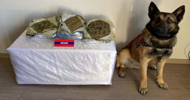 Çantalarında uyuşturucu taşıyan şüpheliler dedektör köpeğe takıldı.......