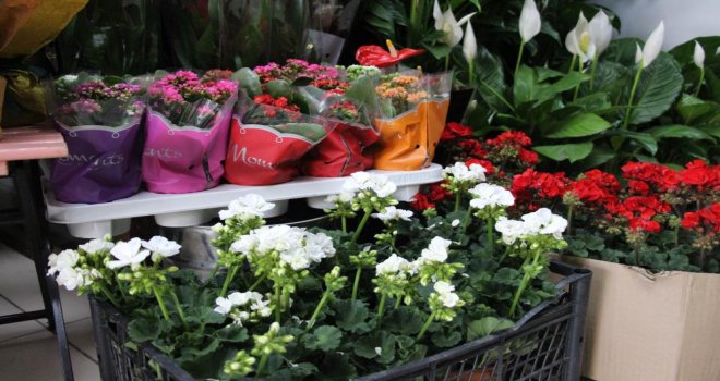 Çiçekçilerde Anneler Günü yoğunluğu..........