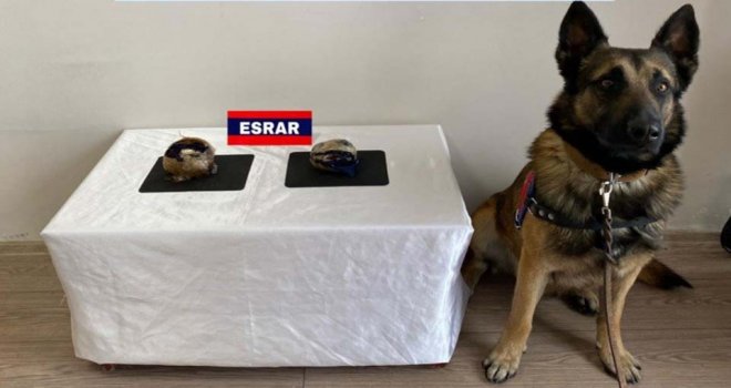 Cips kutusunda 500 gram toz esrar ele geçirildi