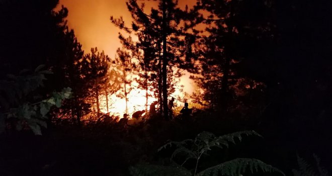 Çok sayıda ekip müdahale ediyor