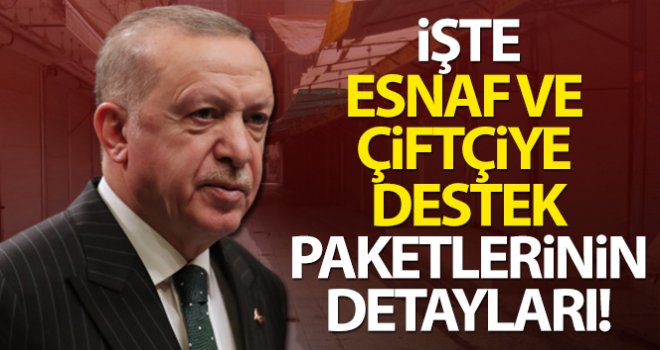 Cumhurbaşkanı Erdoğan, esnaf ve çiftçiye destek paketlerini açıkladı!