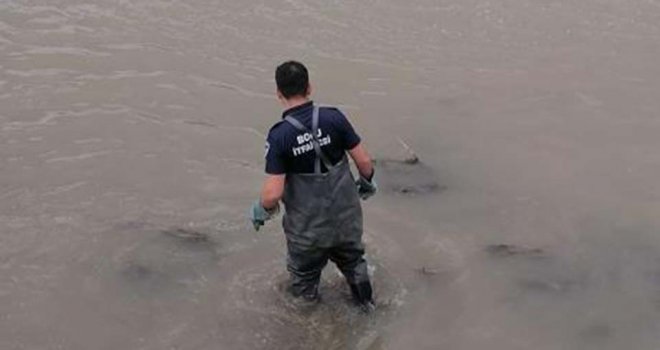 Derede mahsur kalan köpeği itfaiye ekipleri kurtardı