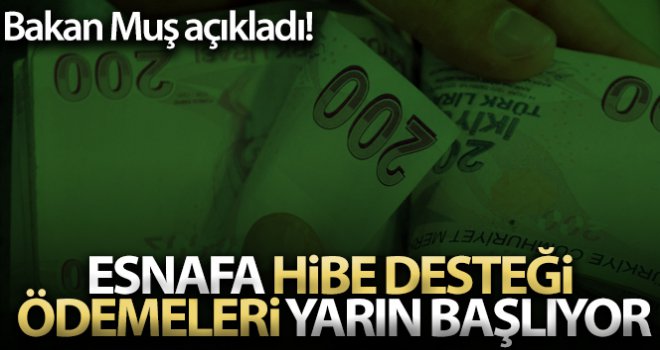 Esnafa hibe desteği ödemeleri yarın başlıyor