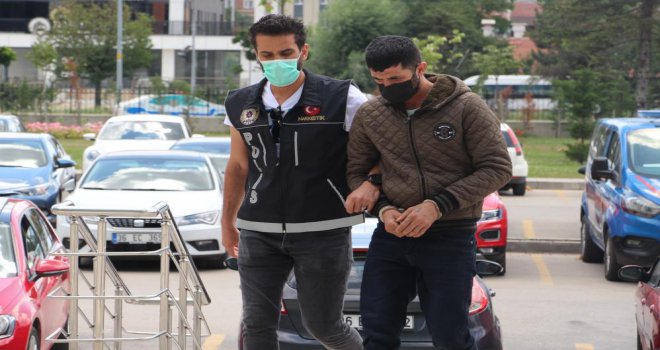 Evinde Hint keneviri yetiştiren şüpheli adliyeye sevk edildi