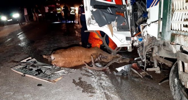 Feci kazada araçlar hurdaya döndü