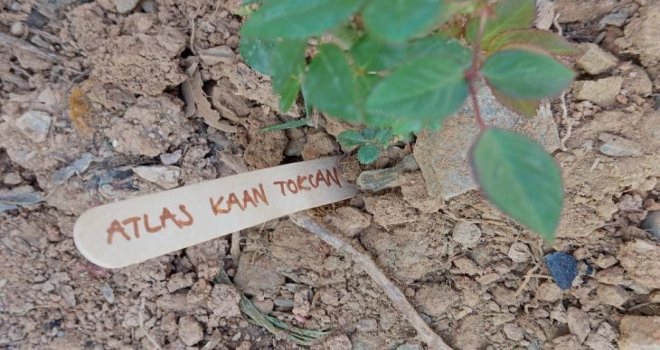 Gazipaşa'da, Bolu'daki otel yangınında ölen 36 çocuk anısına gül dikildi