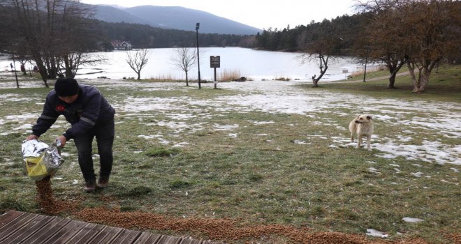 Gölcük Tabiat Parkı’ndaki hayvanlar unutulmadı…..