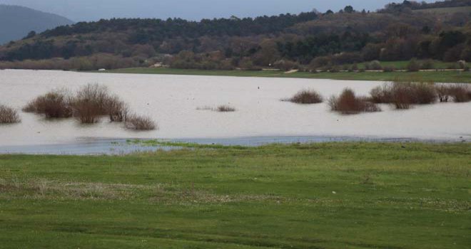 Gölköy Baraj Gölü’nde su seviyesi yüzde 90’lara ulaştı