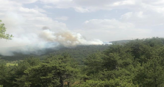 Göynük’te çıkan orman yangını kontrol altına alındı