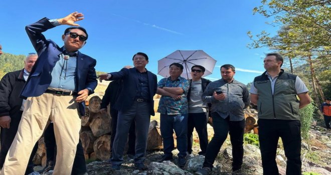 Güney Koreli ormancılar, Bolu'daki ormancılık çalışmalarını inceledi