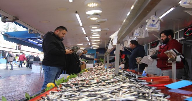 Hamsinin olmayışı, vatandaşı istavrite yöneltti