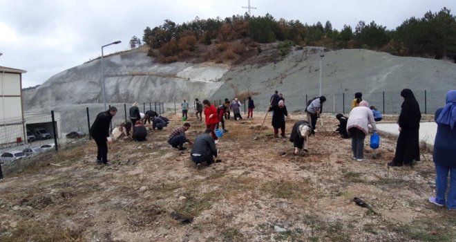 Hastane bahçesine fidan diktiler.....