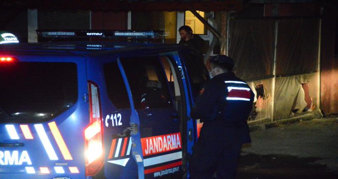 Hayvan koruma derneğinde horoz dövüştürürken yakalandılar