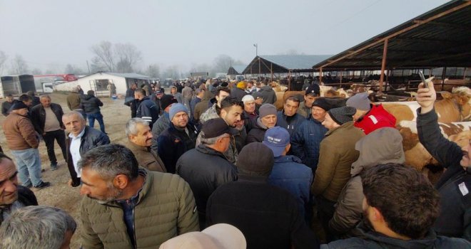 Hayvan pazarında hararetli pazarlık kamerada.......