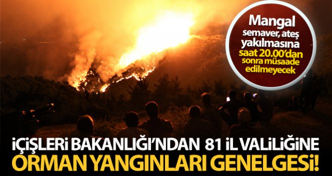 İçişleri Bakanlığı'ndan 81 il valiliğine orman yangınları konulu genelge