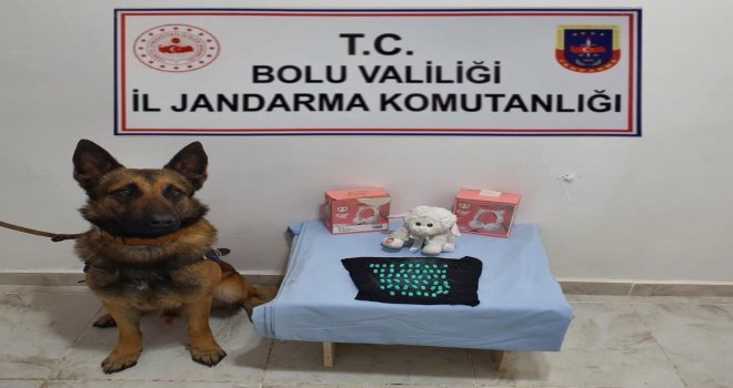 Irak-İstanbul hattında uyuşturucu avı