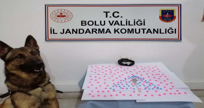 jandarma ekiplerinden yeni yıl operasyonu