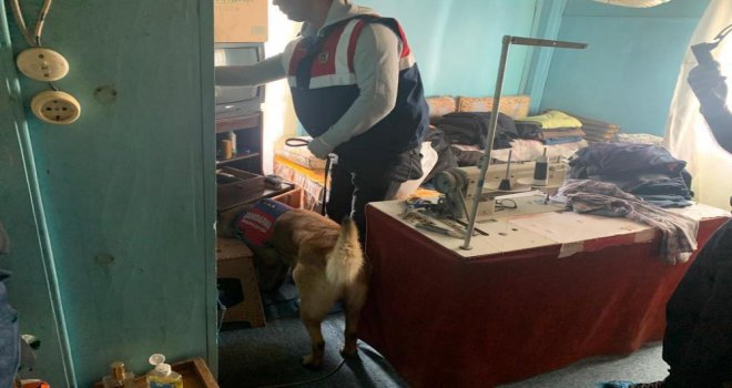 Jandarmanın 3 ilde şafak operasyonunda 5 tutuklu