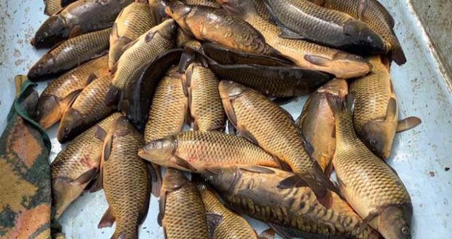 Kaçak balık avına 5 bin 455 lira ceza