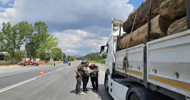 Kaçak orman emvaline geçit yok…