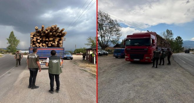 Kaçak orman emvaline geçit yok….