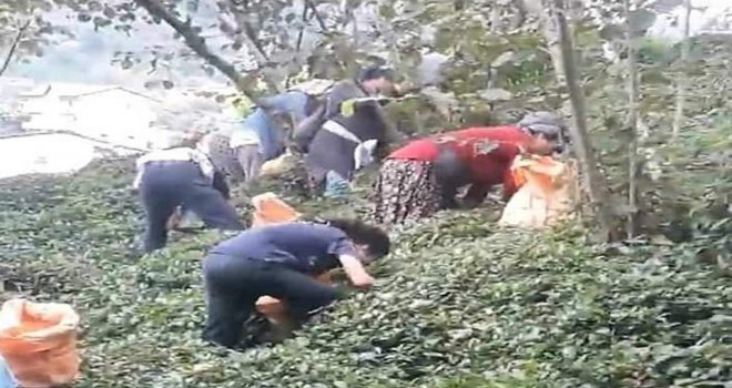 Karadeniz Bölgesi'ne fındık toplamak için gidecek işçiler yola çıktı