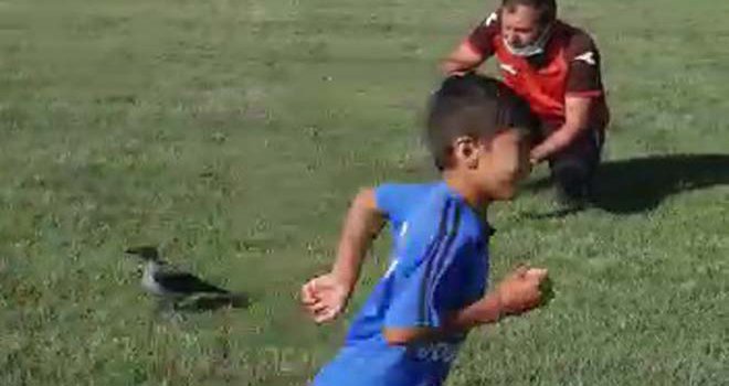'Karaoğlan' ismi verilen karga, spor tesisinin maskotu haline geldi