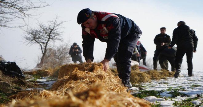Karla kaplı yaylada yiyecek bulamayan yılkı atları için ekipler devrede.........