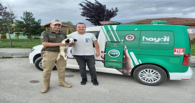 Kaybolan köpeği HAYDİ ekipleri buldu