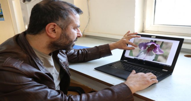 Keşfedilen bitki türüne İzzet Baysal’ın ismi verildi