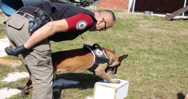 ‘Keskin burunlar’ zehir tacirlerine geçit vermiyor