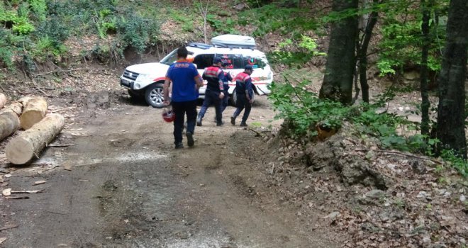 Kestiği ağacın parçası kafasına çarpan işçi hastaneye kaldırıldı