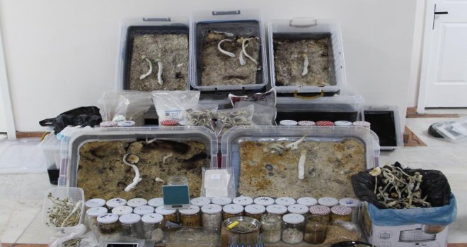 Kimya laboratuvarı değil uyuşturucu imalat hanesi.....