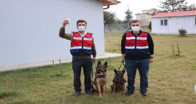 Kobra ve Foya tarihin en büyük uyuşturucu operasyonuna imza attı